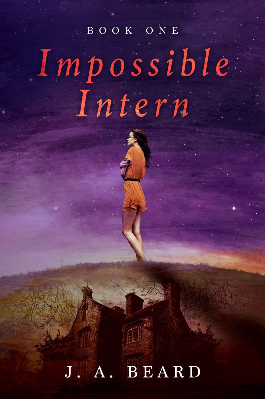 Impossible Intern