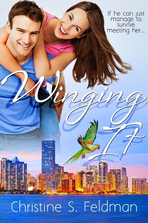 Winging It (A Contemporary Romantic Comedy)