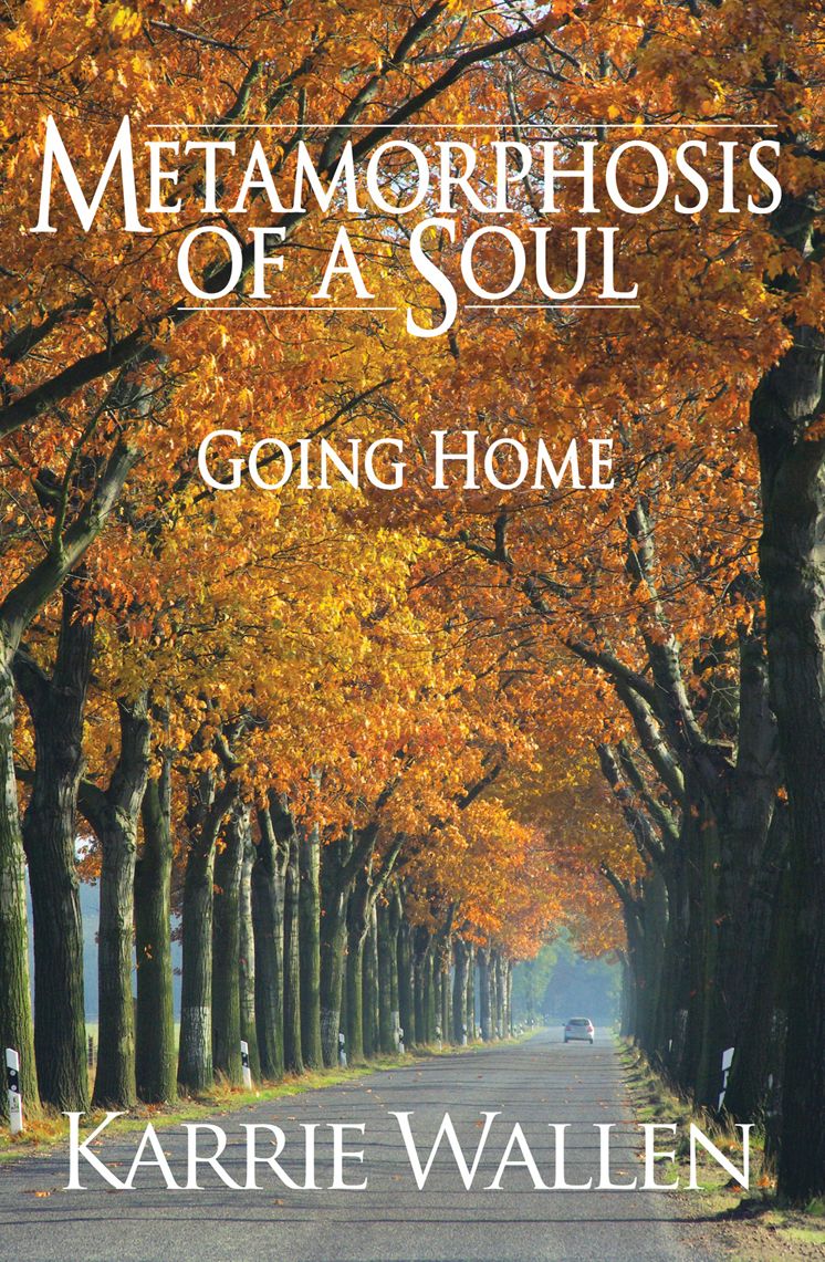 Metamorphosis of a Soul