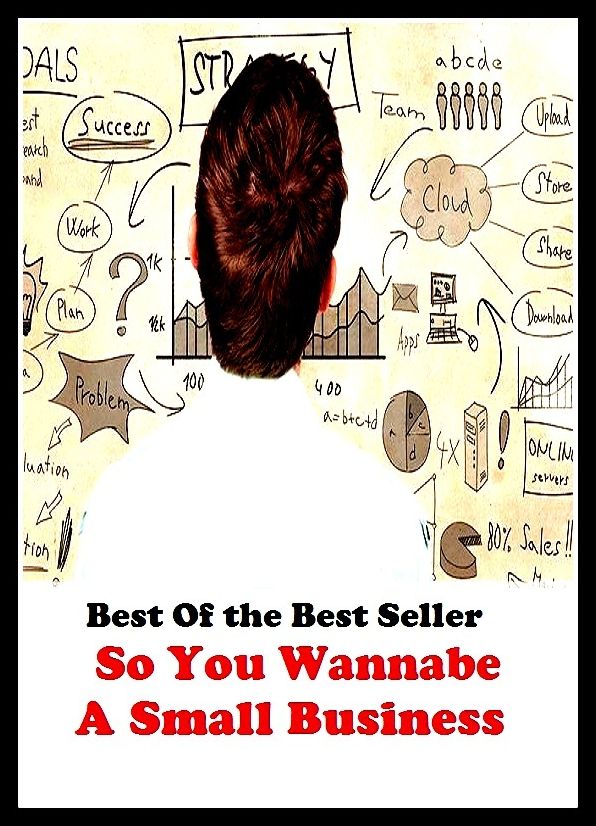 Best of the Best Sellers So You Wannabe A Small Business (employment, function, field, calling, game, trade, career, line, work, craft, livelihood, bag, dodge, occupation)