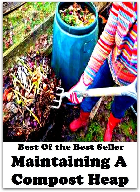 Best of The Best Sellers	Maintaining A Compost Heap (continue,control, cultivate, finance, keep, manage, preserve, protect, provide, renew )