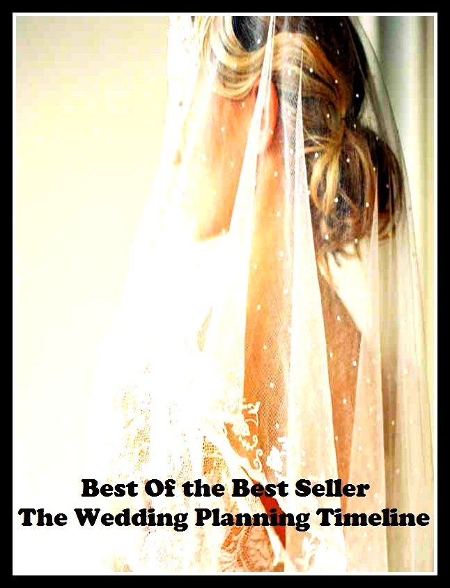 Best of the Best Sellers The Wedding Planning Timeline (agenda, timetable, record, calender, schedule, itinerary, docket, outline, logbook, program)
