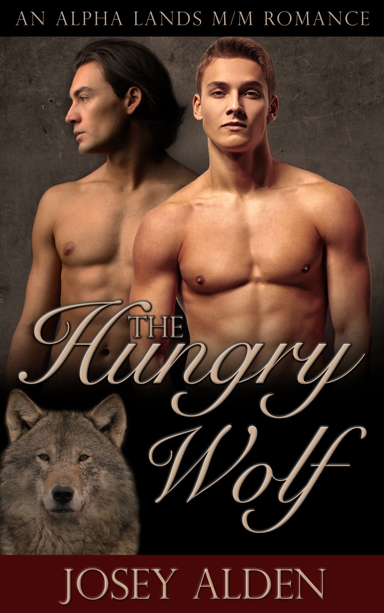 The Hungry Wolf: Paranormal M/M Romance Novella