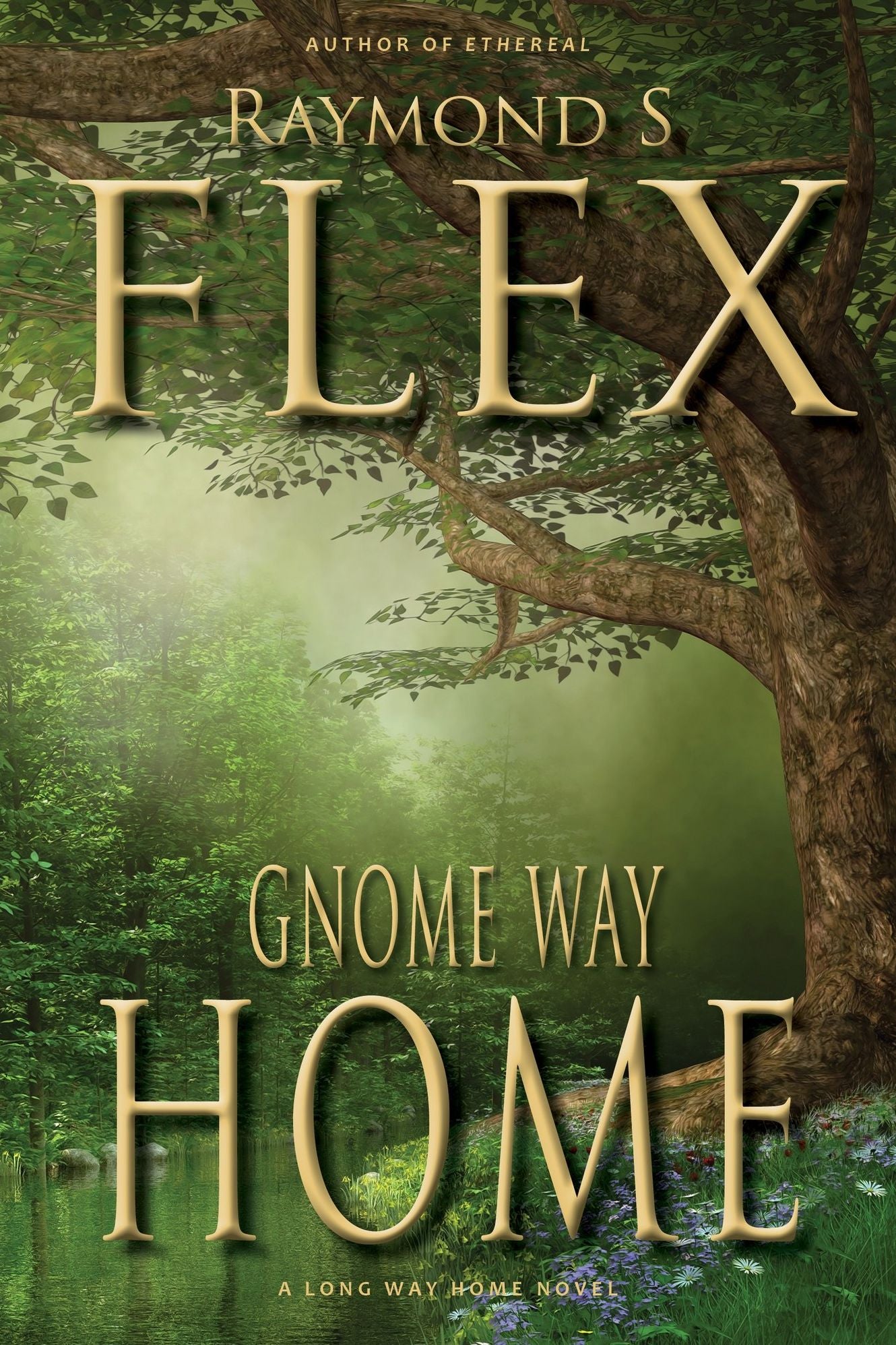 Gnome Way Home