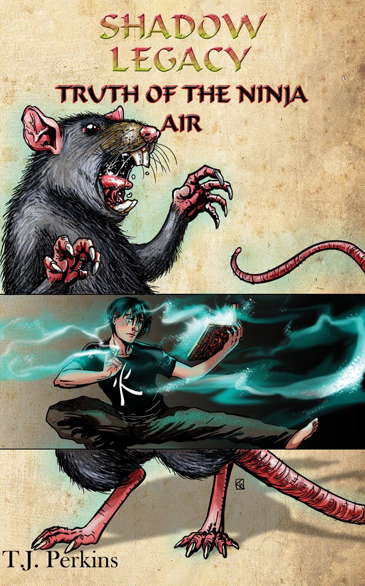 Truth of the Ninja - Air