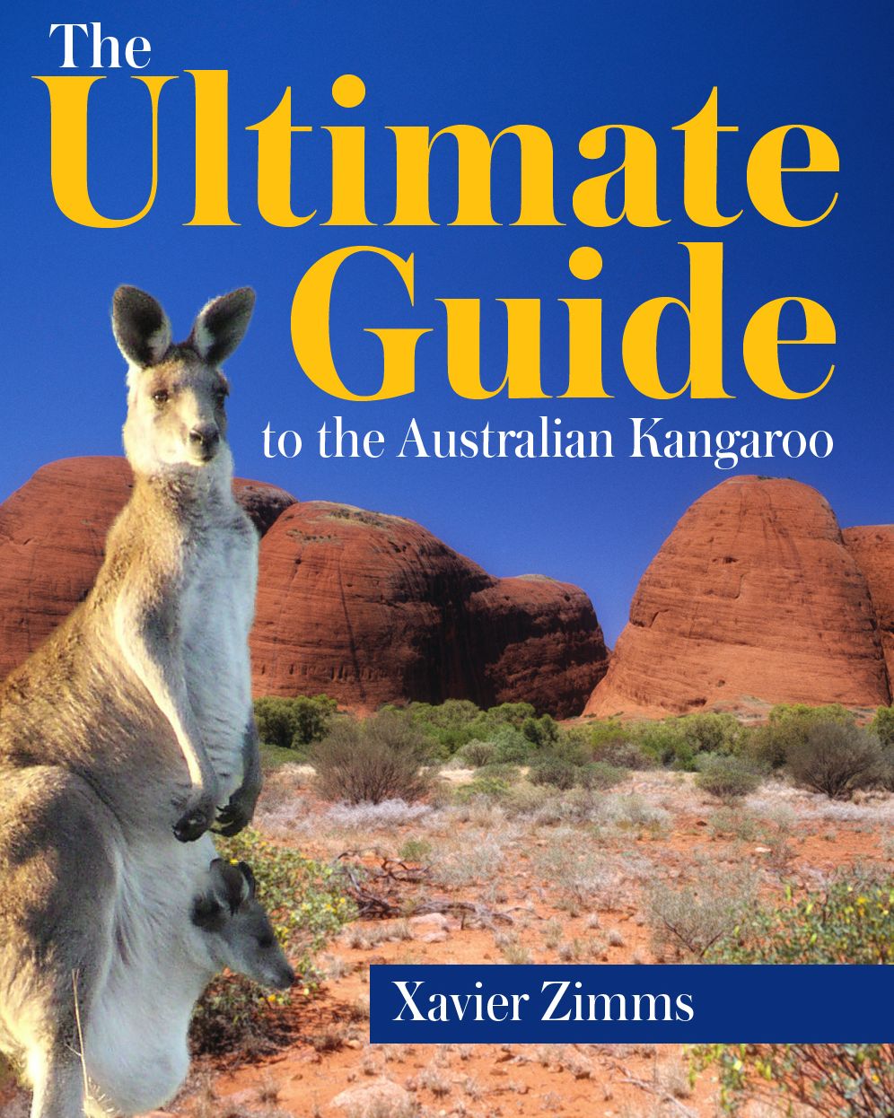 Everything You Ever Wanted to Know About the Australian Kangaroo