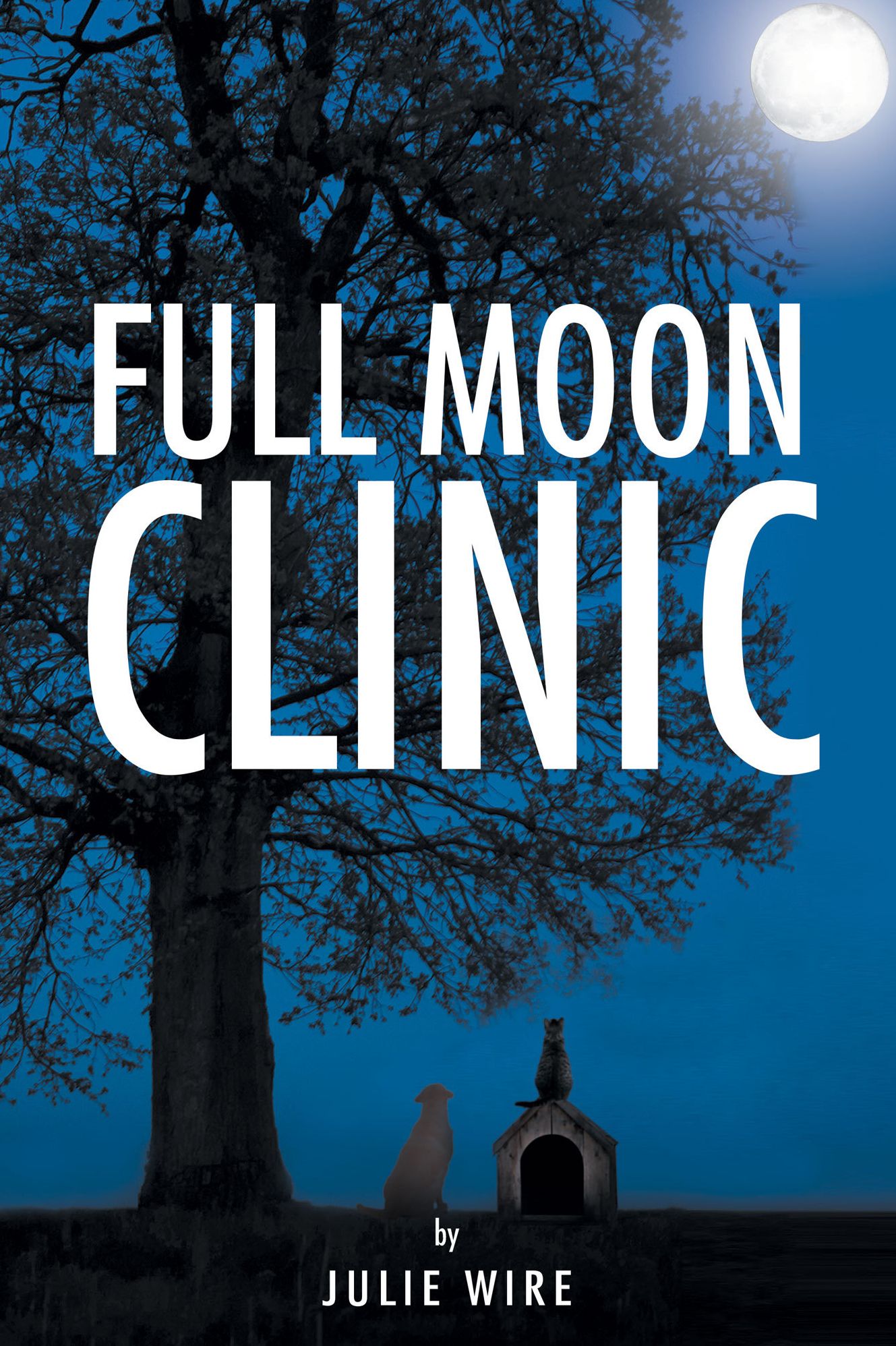 Full Moon Clinic