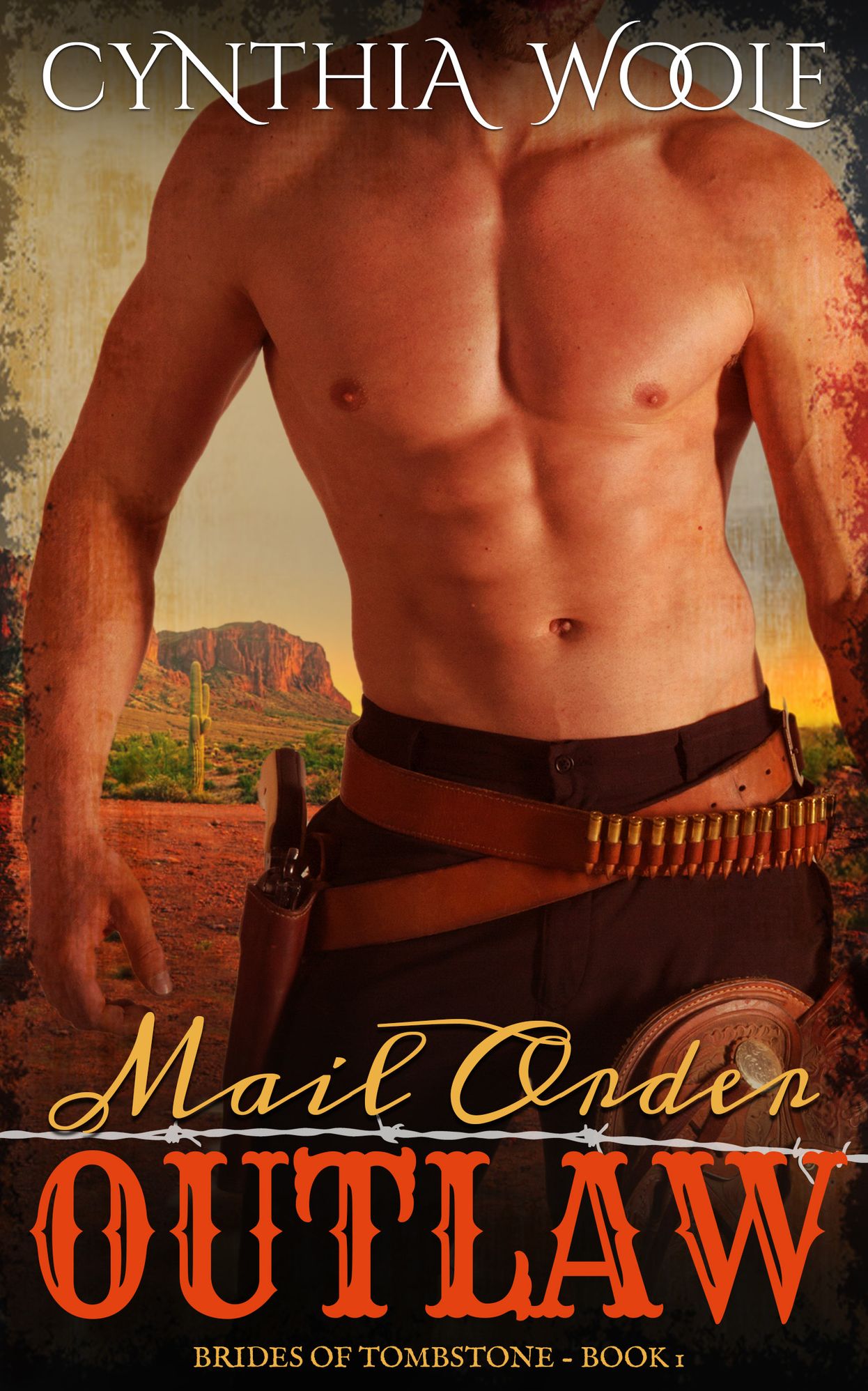 Mail Order Outlaw