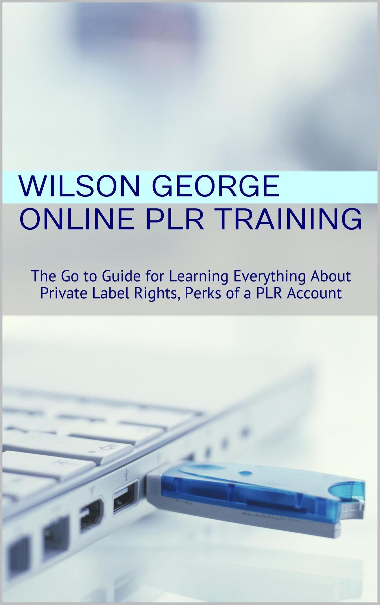 Online PLR Training: The Go to Guide for Learning Everything About Private Label Rights, Perks of a PLR Account