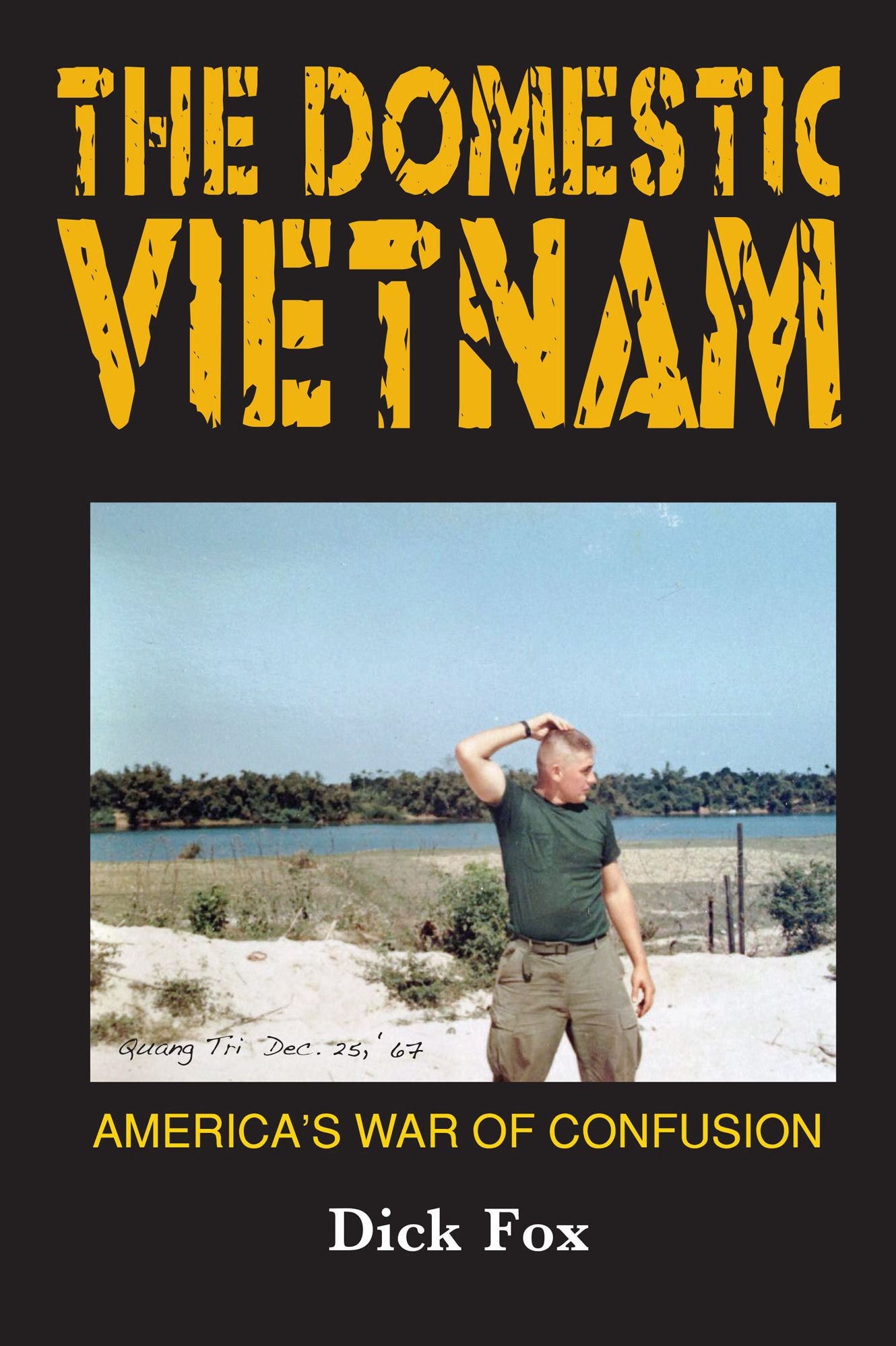 The Domestic Vietnam