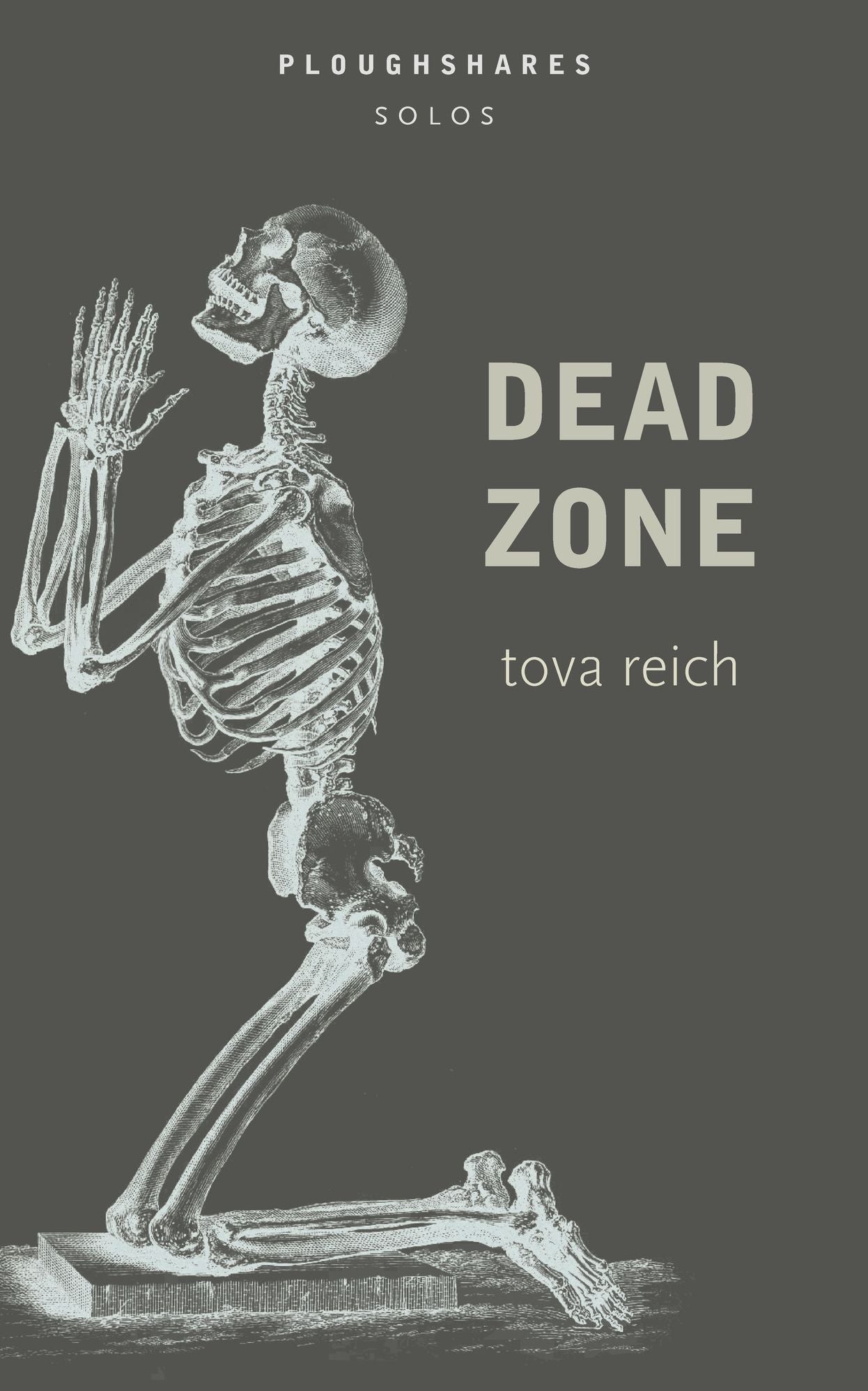 Dead Zone (Ploughshares Solos)