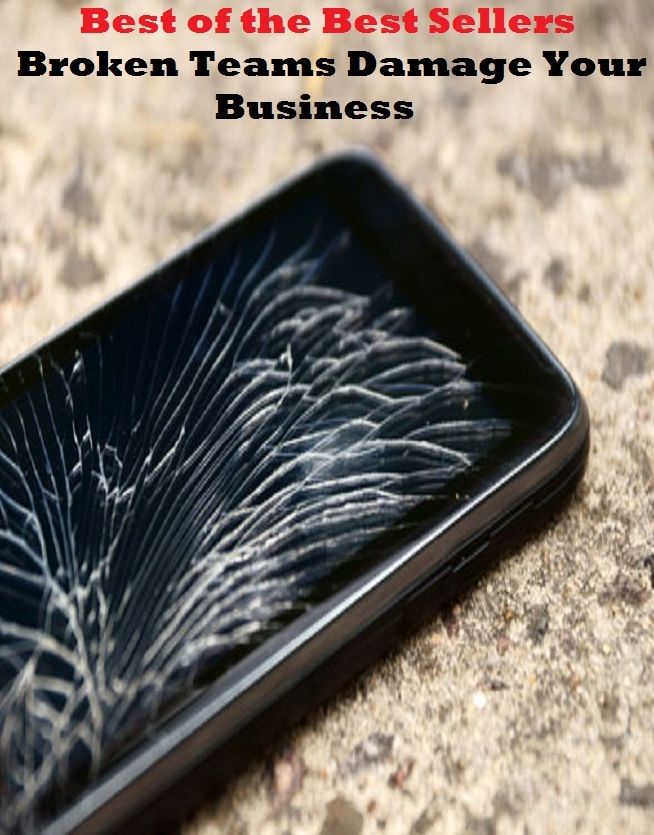Business: Best of the Best Sellers Broken Teams Damage Your Business(business, biz, merchandise, occupation, craft, calling)