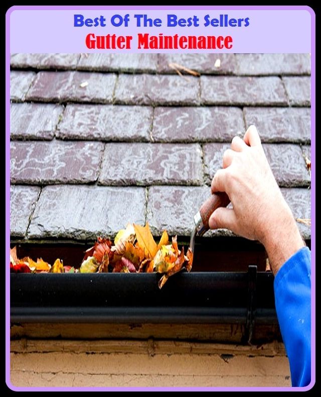 Best of the Best Sellers Gutter Maintenance (guttersnipe, gutted, Gutenberg, gutter, gutter ball, gutter out, gutter press, guttered, guttering, gutter like)
