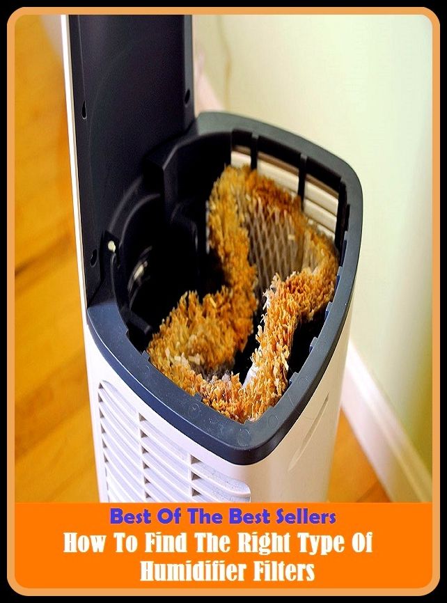 Best of the Best Sellers How To Find The Right Type Of Humidifier Filters (the revelation, the revolutionaries, the Rickey, the right, the right of way, the right way, the ring and the book, the riptides, the rise of Catherine the great, the Ritz)