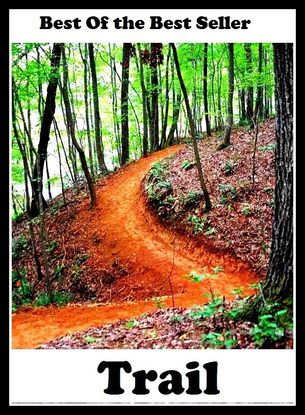 Best of the Best Sellers Trail (rails, course, data track, path, lead-in, wind, cut, atomic number 82, cart track, confidential information, lead, principal, leading, tether, caterpillar tread, raceway, lead story, caterpillar track, trail, runway)