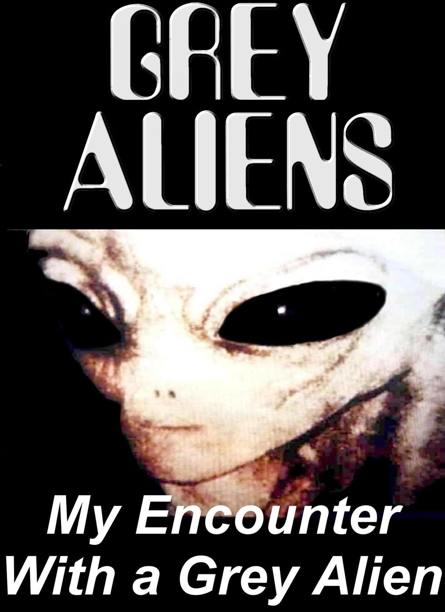 Grey Aliens - My Encounter with a Grey Alien