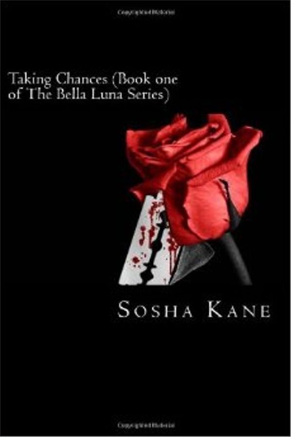 Taking Chances - Book One of the Bella Luna Series