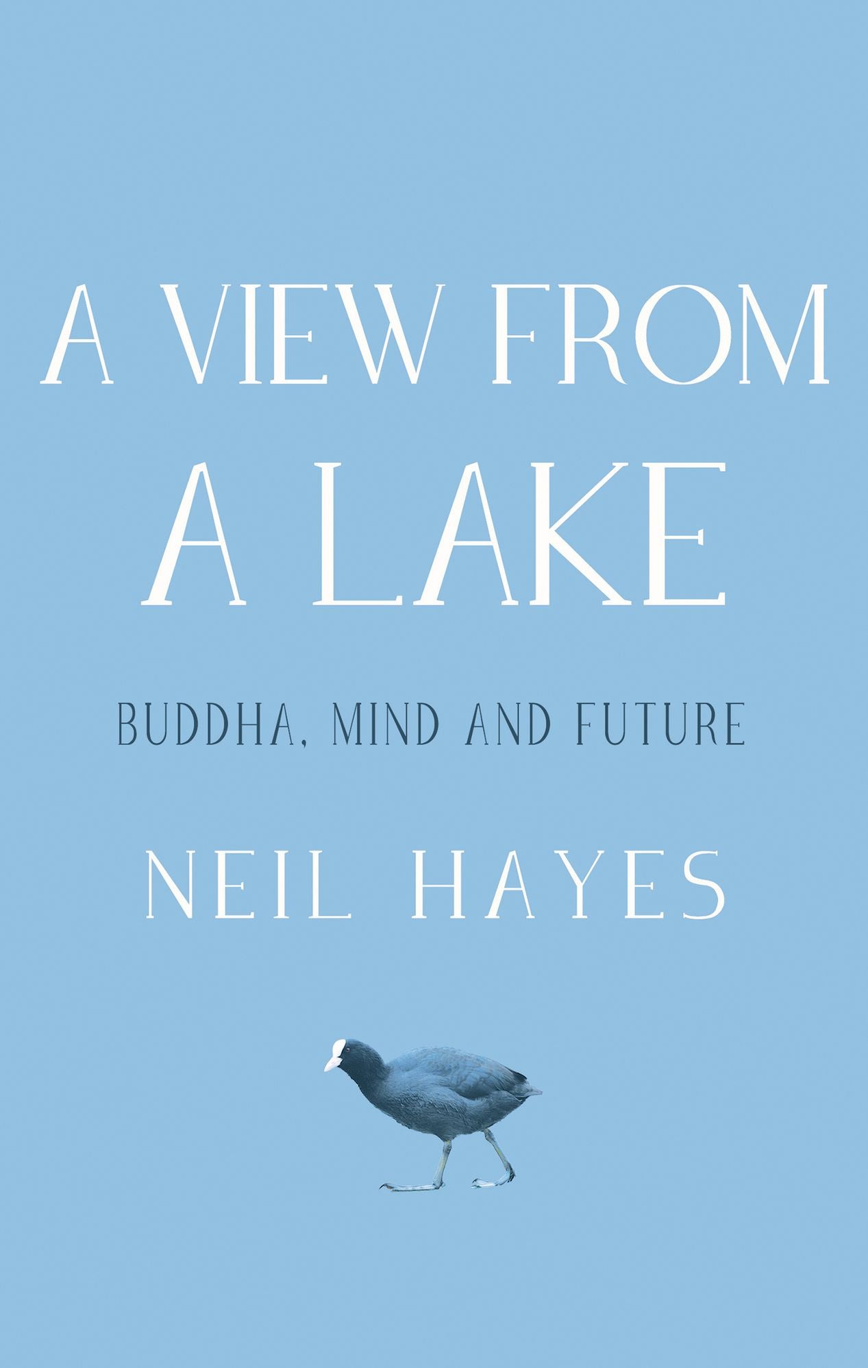 A View From A Lake: Buddha, Mind and Future