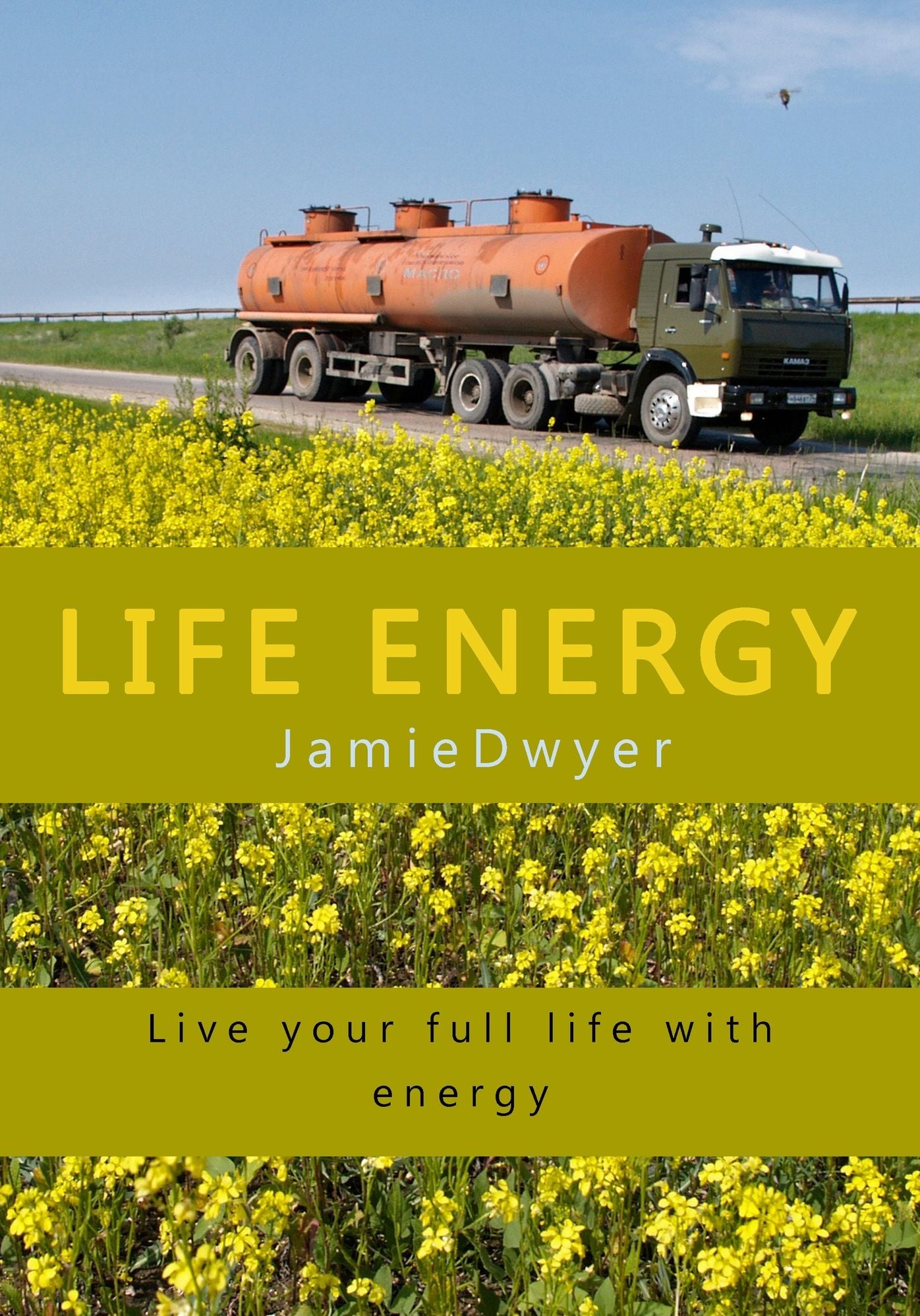 Life energy