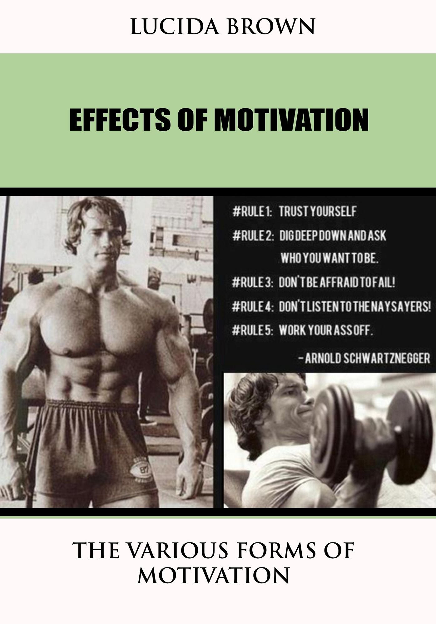Effects of motivation: The various forms of motivation