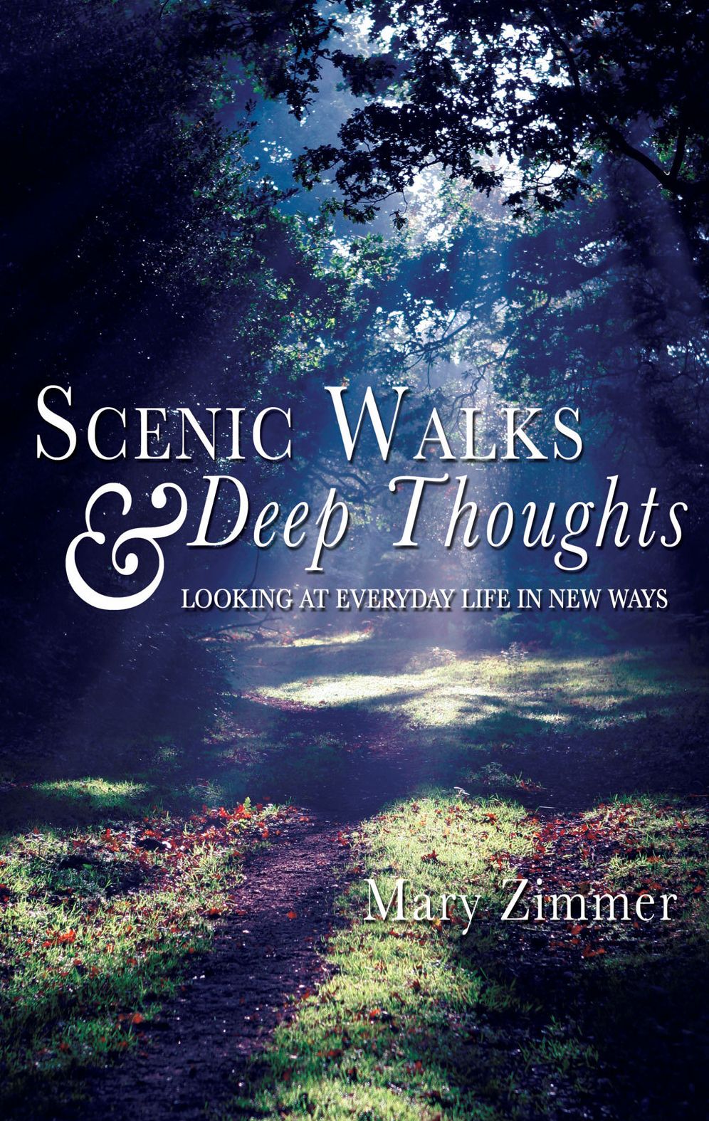 Scenic Walks and Deep Thoughts: Looking at Everyday Life in New Ways