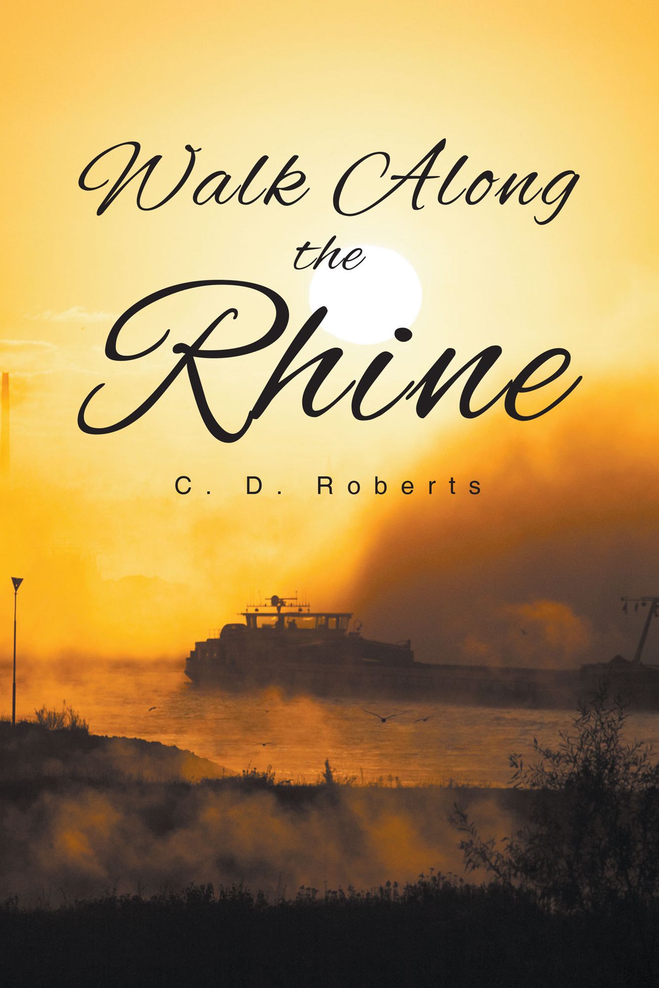 Walk Along the Rhine