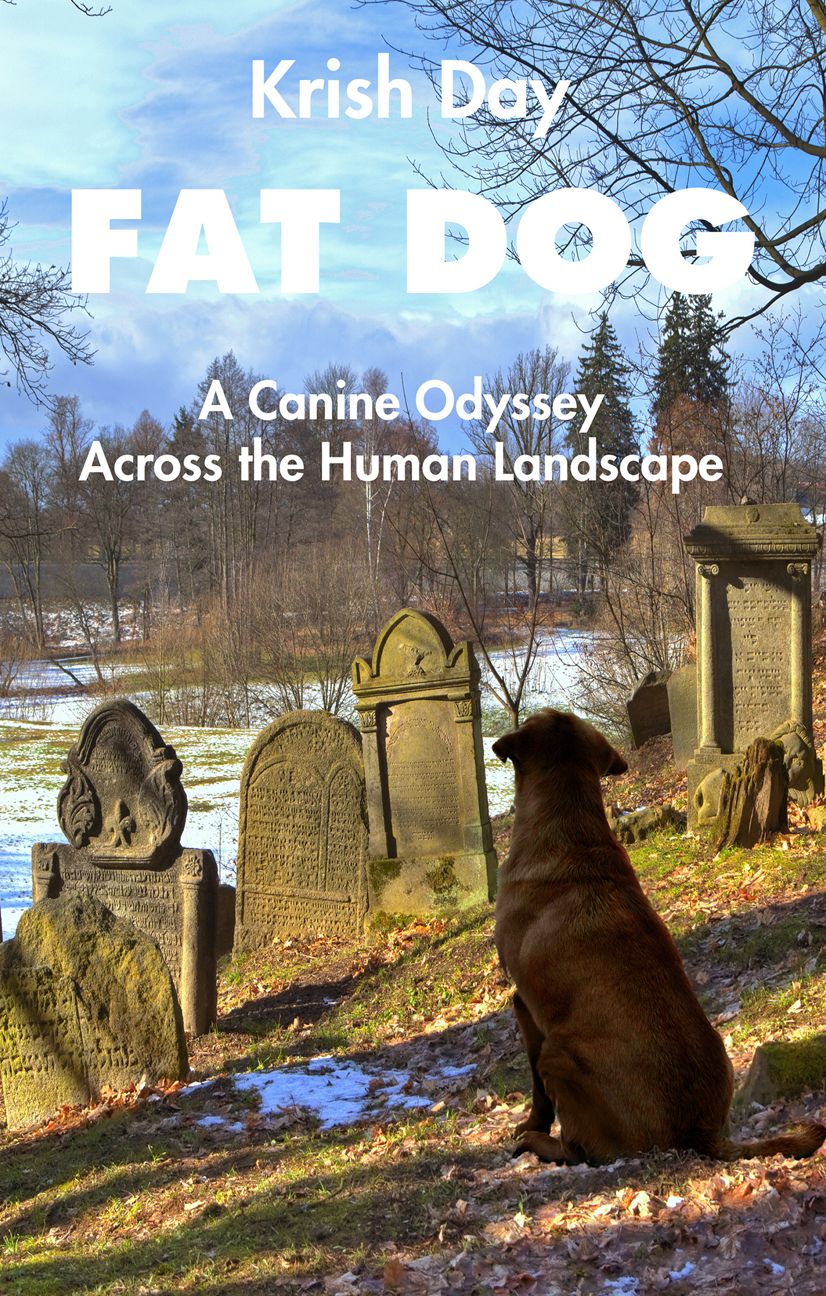 Fat Dog: A Canine Odyssey Across the Human Landscape
