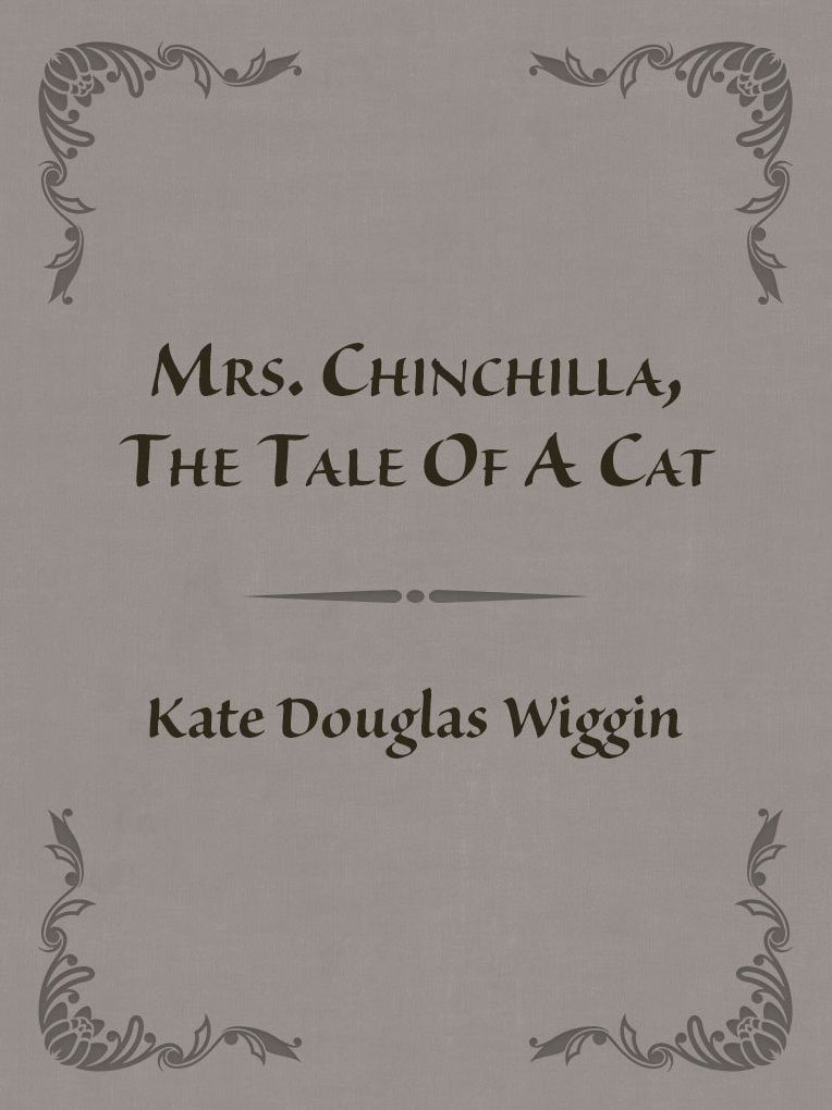 Mrs. Chinchilla, The Tale Of A Cat