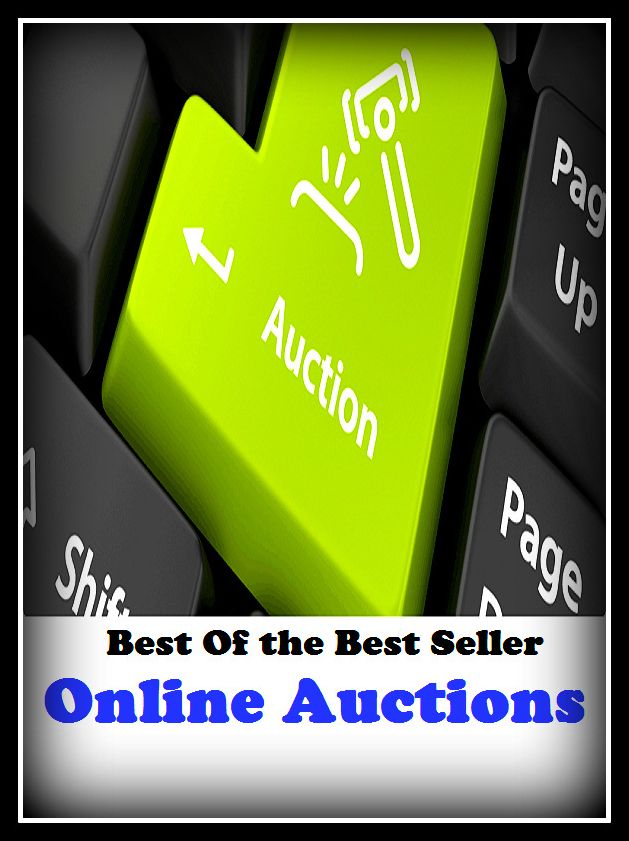 Best of the Best Sellers Online Auctions ( fake, mesh, net, plexus, web, snare, internet, research, calculating machine, electronics, online, work at home mom, work at home, earn, computer )