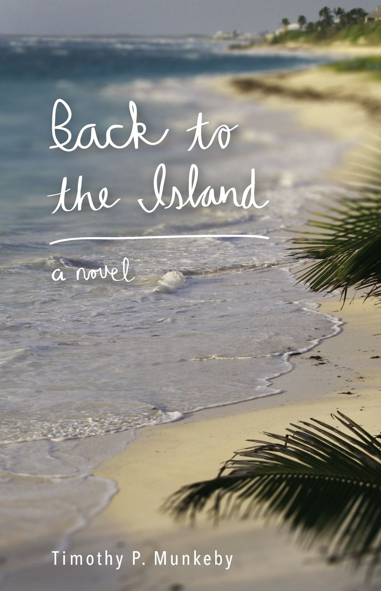 Back to the Island: A Novel