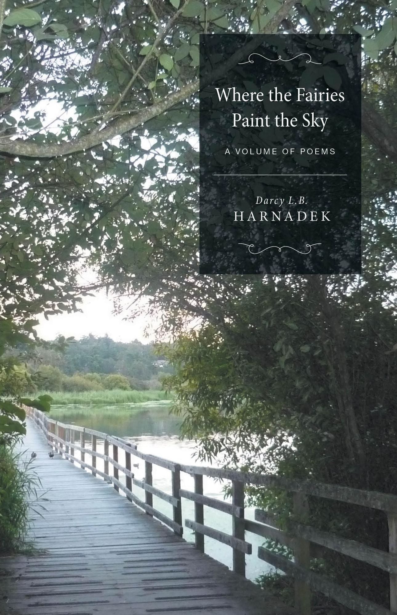 Where the Fairies Paint the Sky - A Volume of Poems