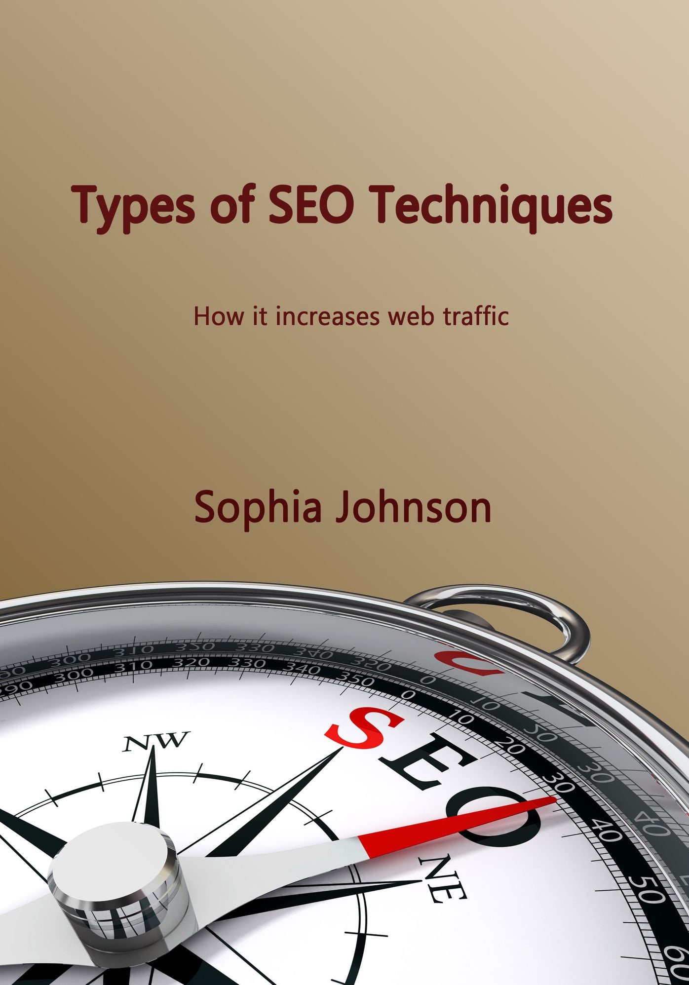 Types of SEO techniques: How it increases web traffic