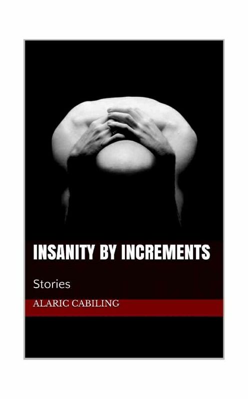 Insanity By Increments