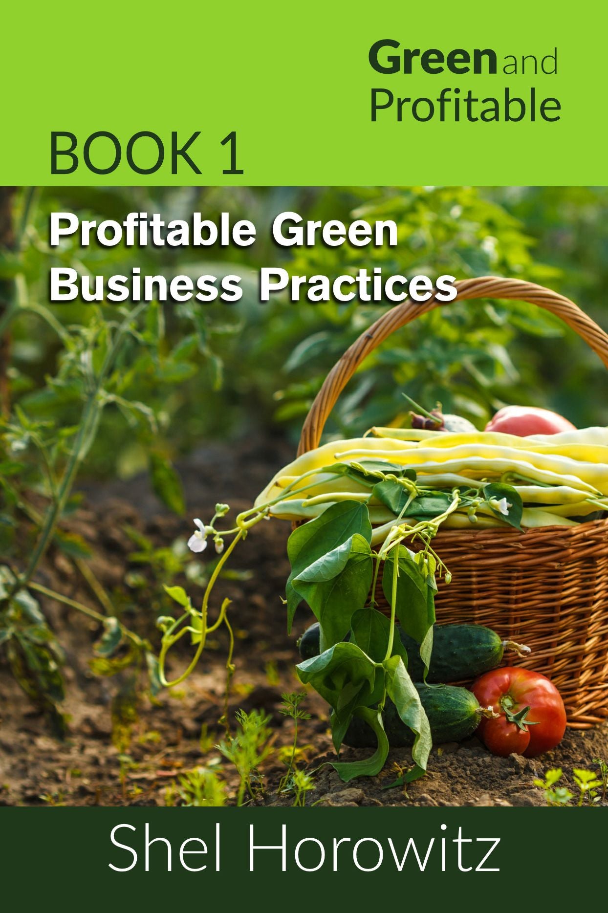 Profitable Green Business Practices