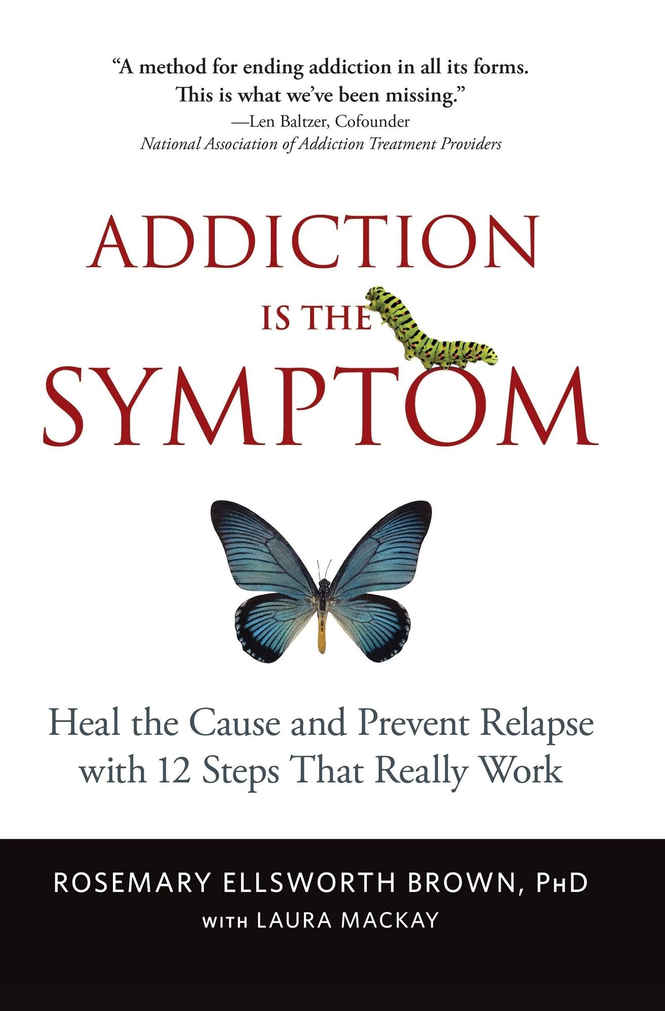 Addiction Is the Symptom: Heal the Cause and Prevent Relapse with 12 Steps That Really Work