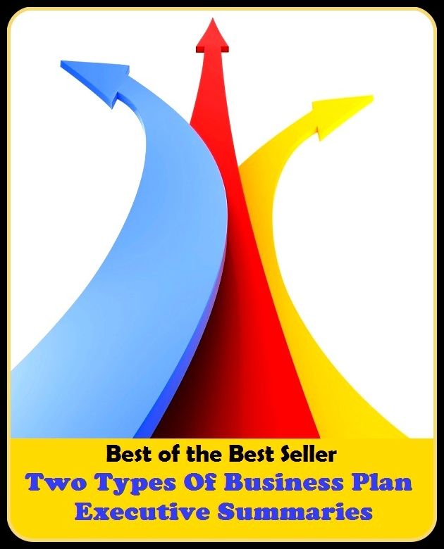 Best of the best sellers Two Types Of Business Plan Executive Summaries ( managing, organization, running, supervision, administration, management, direction, admin, command, control, care )