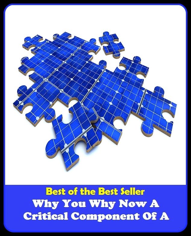 Best of the best sellers Why You Why Now A Critical Component Of A ( managing, organization, running, supervision, administration, management, direction, admin, command, control, care )