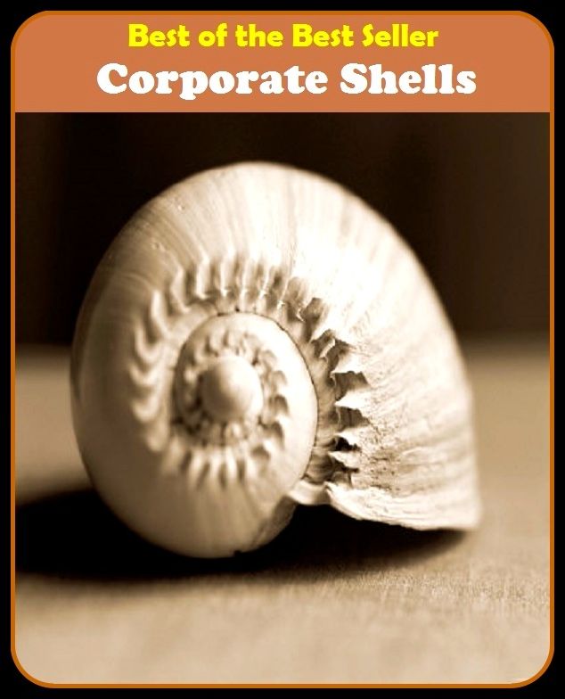 Best of the best sellers Corporate Shells ( managing, organization, running, supervision, administration, management, direction, admin, command, control, care )