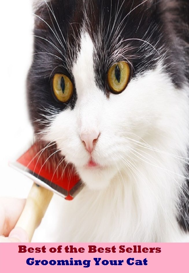Best of the best seller Grooming Your Cat(dog,lover,treasure,beloved,cat,darling,dear,evergreen,idol,jewel)