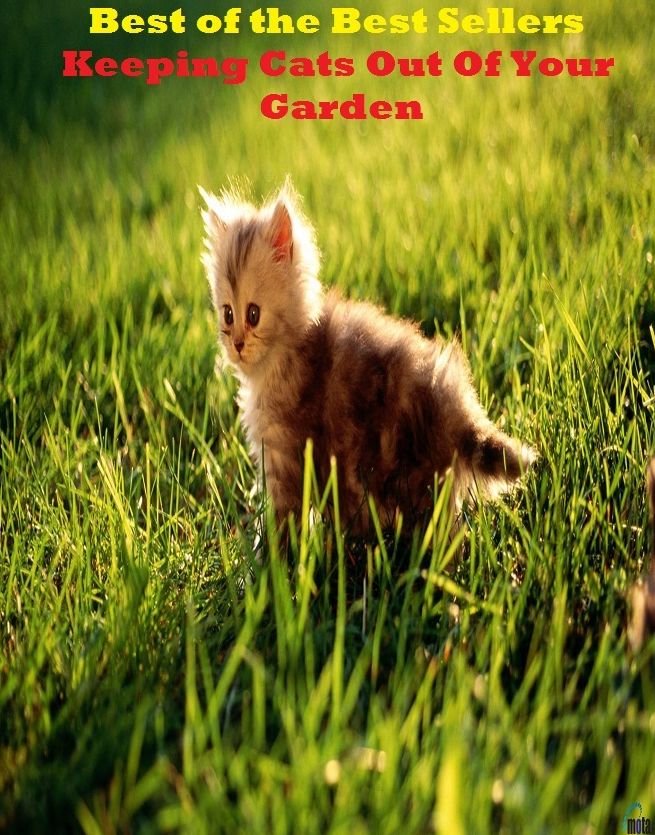 Best of the best seller Keeping Cats Out Of Your Garden(dog,lover,treasure,beloved,cat,darling,dear,evergreen,idol,jewel)