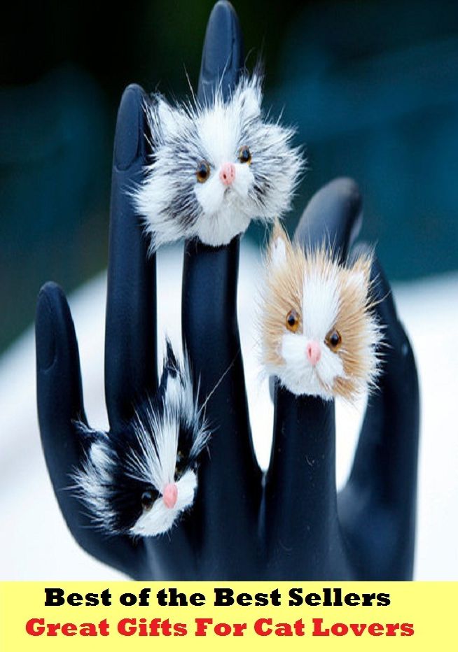 Best of the best seller Great Gifts For Cat Lovers(dog,lover,treasure,beloved,cat,darling,dear,evergreen,idol,jewel)