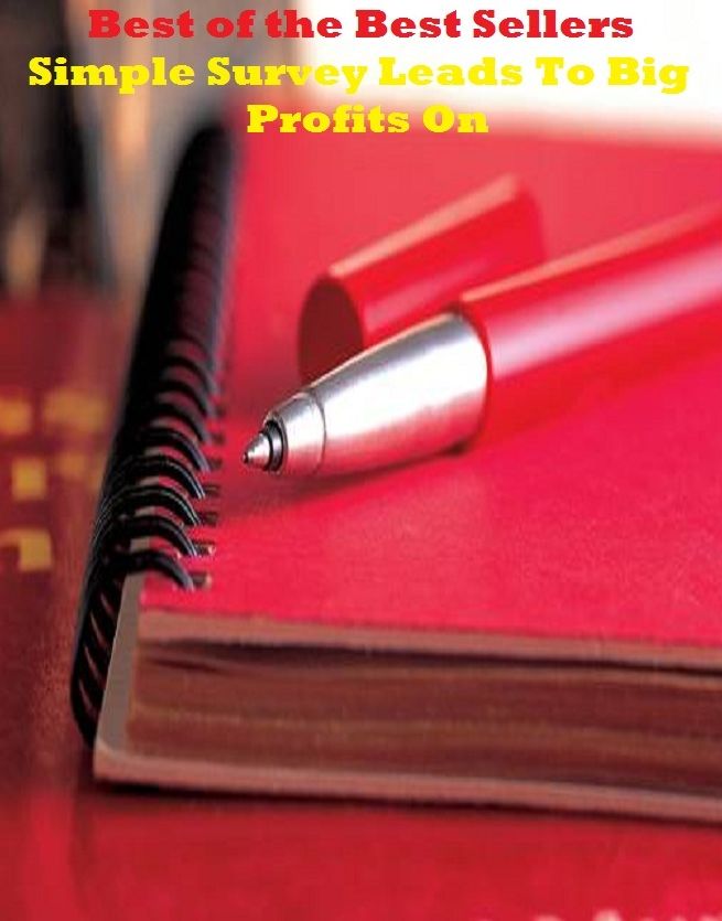 Best of the Best Sellers Simple Survey Leads To Big Profits On (study, review, consideration, overview, scrutiny, examination, inspection, appraisal, poll, review)
