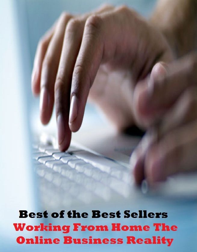 best of the best seller Working From Home The Online Business Reality (Internet, World Wide Web, communications, computer network, data bank, data network, electronic highway, email, global village, infobahn, virtual community)