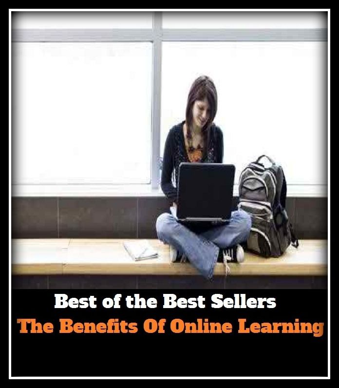 Best of the best seller The Benefits Of Online Learning(culture,discipline,improvement,information,learning,literacy,scholarship,schooling,science,study)