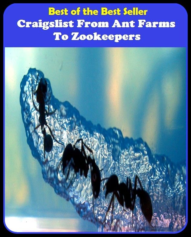 best of the best seller Craigslist From Ant Farms To Zookeepers (Internet, World Wide Web, communications, computer network, data bank, data network, electronic highway, email, global village, infobahn, virtual community)