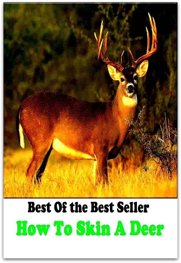 Best of the best seller How To Skin A Deer(angling,fishery,fishing,shooting,coursing,falconry,fowling,hawking,sporting,stalking)