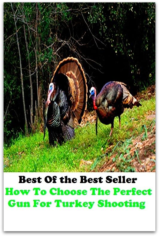 Best of the best seller How To Choose The Perfect Gun For Turkey Shooting(angling,fishery,fishing,shooting,coursing,falconry,fowling,hawking,sporting,stalking)