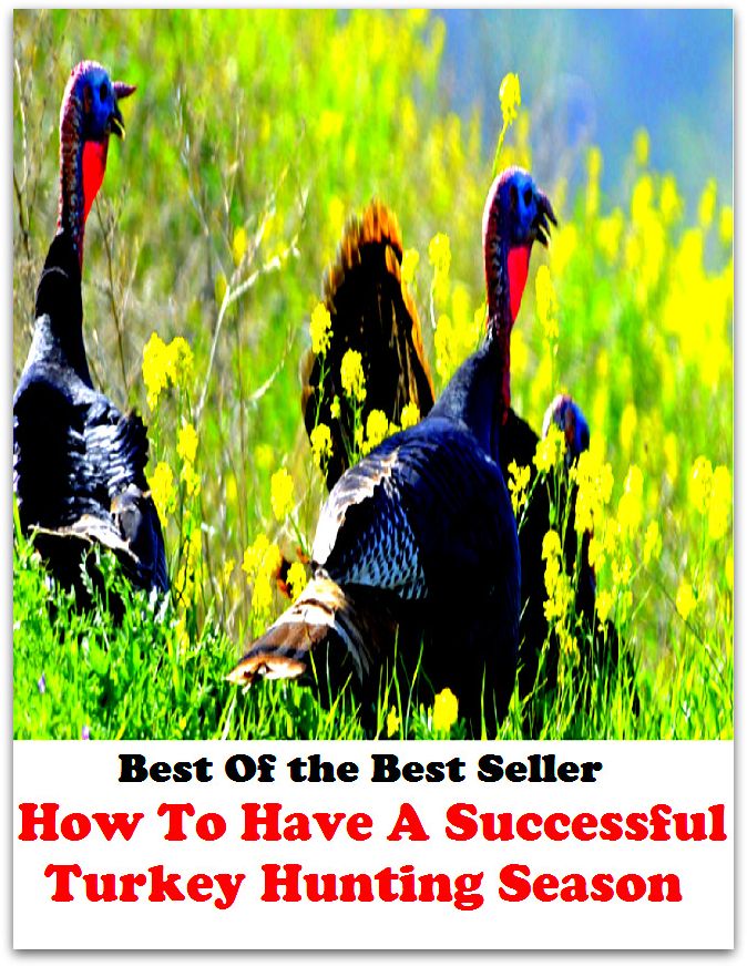 Best of the best seller How To Have A Successful Turkey Hunting Season(angling,fishery,fishing,shooting,coursing,falconry,fowling,hawking,sporting,stalking)