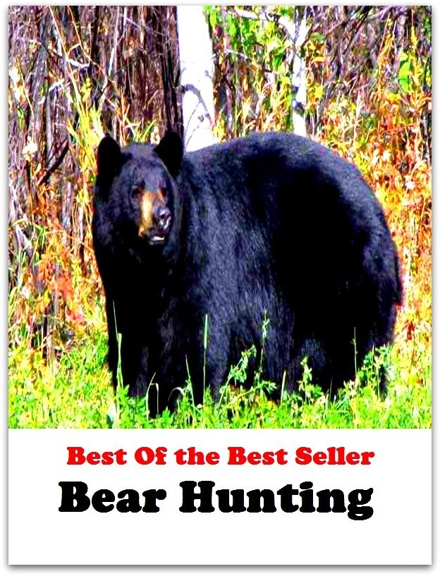Best of the best seller Bear Hunting(angling,fishery,fishing,shooting,coursing,falconry,fowling,hawking,sporting,stalking)