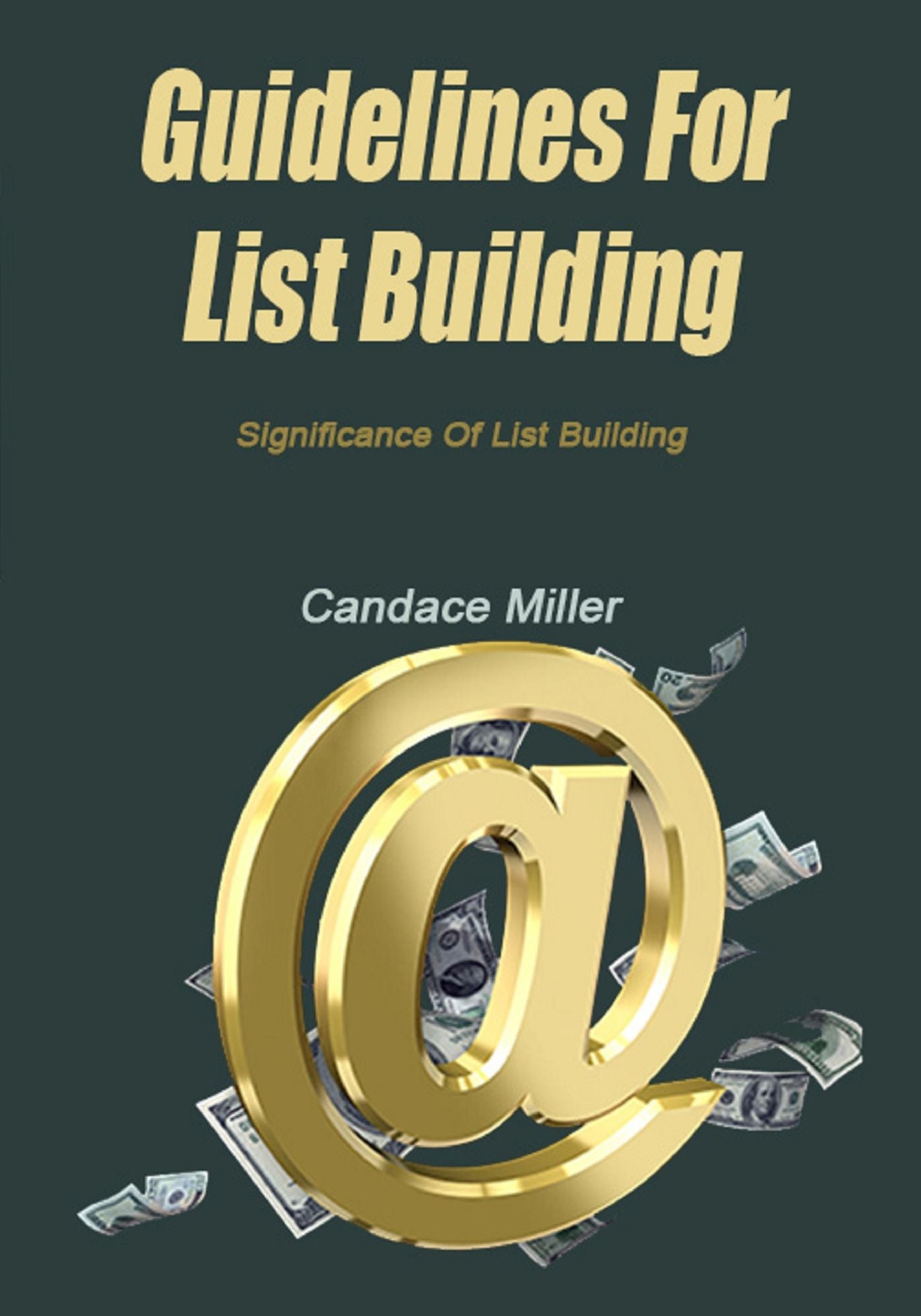 Guidelines For List Building